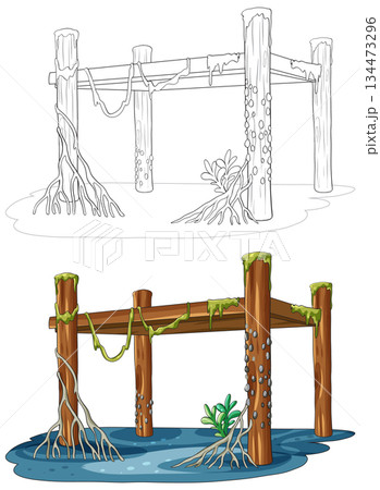 Old Wooden Pier with Mangrove Roots and Seaweed Old Wooden Pier with Mangrove Roots and Seaweed 134473296