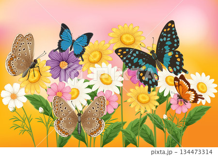 Colorful Butterflies Among Vibrant Spring Flowers 134473314