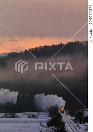 雪景色の磐越西線SL 134473375