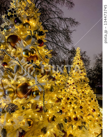 bright holiday trees illuminate walkways, radiant christmas displays create enchanting evening scenery bright holiday trees illuminate walkways, radiant christmas displays create enchanting evening scenery 134473745