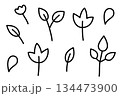 手描きあしらい05　シンプルな植物アイコン 134473900