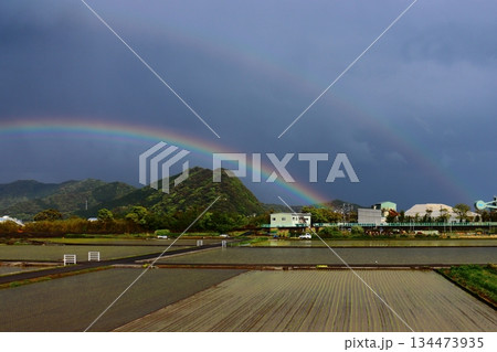 雨上がりのダブルレインボー 雨上がりのダブルレインボー 134473935