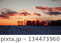 畑にかかる夕日 134473960