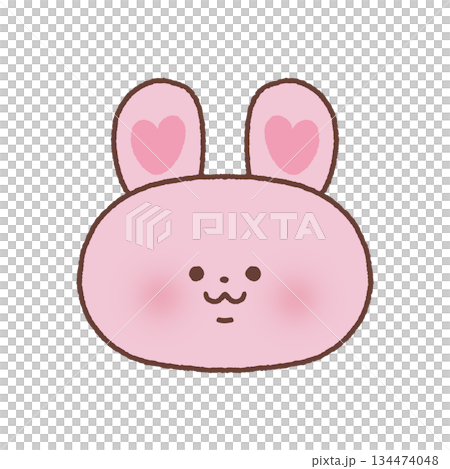 ラブリーなかわいいウサギ 134474048