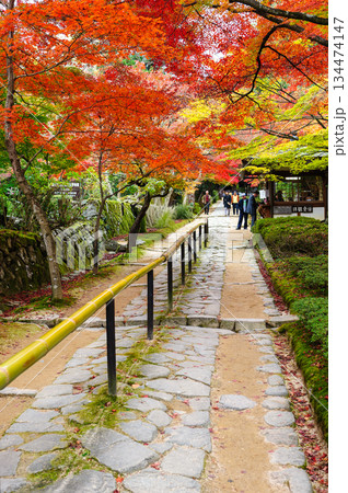 金剛輪寺(湖東三山)の紅葉_2721 134474147