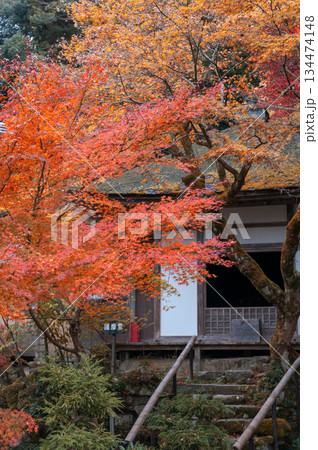 金剛輪寺護摩堂(湖東三山)の紅葉_2769 134474148