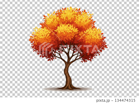 tree isolated on white background tree isolated on white background 134474315