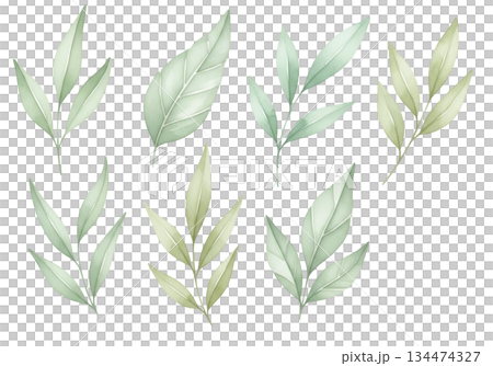 set of cannabis leaves set of cannabis leaves 134474327