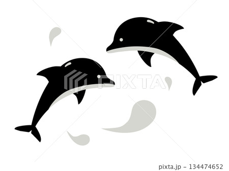 ジャンプするイルカのイラスト 134474652