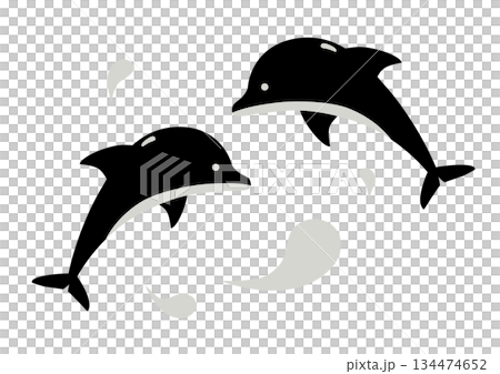 ジャンプするイルカのイラスト 134474652