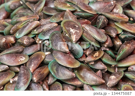 Close up background with a large lot of fresh sea shells or mussel for sale at a seafood market. Close up background with a large lot of fresh sea shells or mussel for sale at a seafood market. 134475087