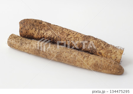 白背景の自然薯	 134475295