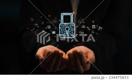 The Digital Cyber Security Lock System Marrow 134475653