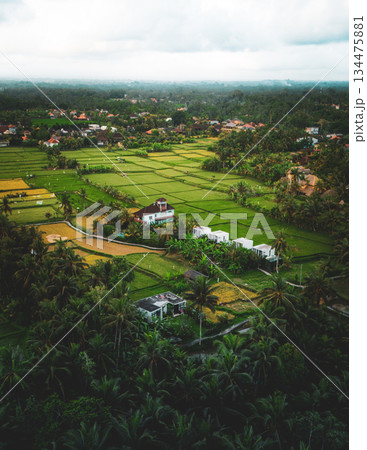Aerial drone view Ubud rice terraces countryside Bali, lush green paddies surround traditional homes and palm trees under cloudy sky. Rural Bali landscape and tropical Ubud harmony drone photo 134475881