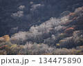 晩秋から初冬の紅葉が彩る高原の風景 134475890