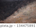 晩秋から初冬の紅葉が彩る高原の風景 134475891