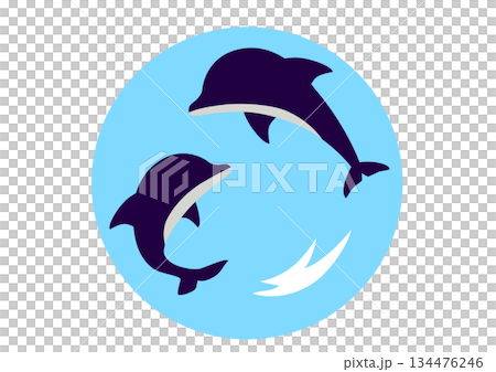 ジャンプするイルカのアイコン 134476246
