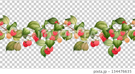 Raspberry seamless border with berries and...のイラスト素材 [134476635] - PIXTA