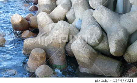 青森港の消波ブロック（青森県青森市） 134477321