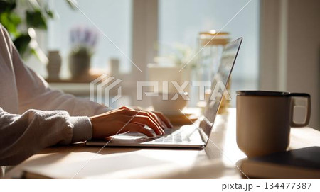 白日の在宅勤務を表現した ハイブリッドワークのワークスタイル 134477387