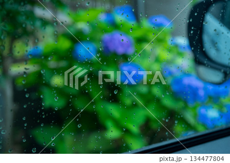 various 134477804