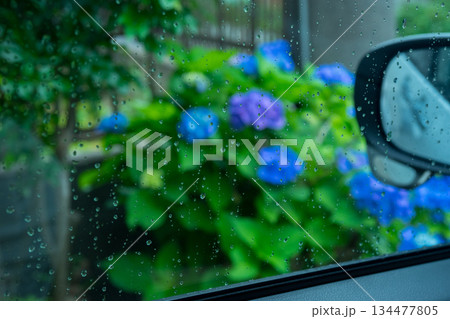 various various 134477805