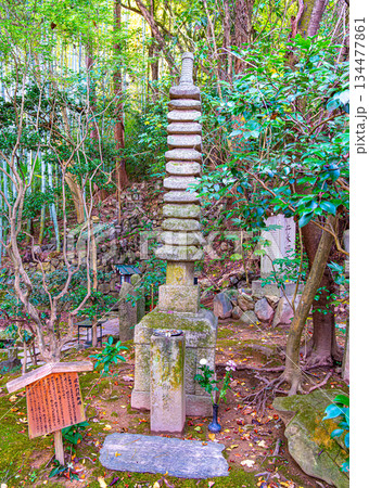 京都、長楽寺の建礼門院御髪塔 134477861