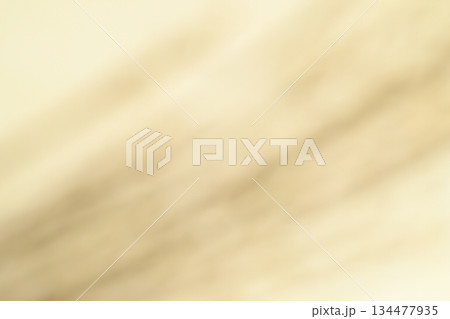 和紙とススキによるボケ味表現【背景素材】 134477935