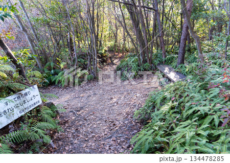 京都一周トレイルとその周辺の景色 134478285