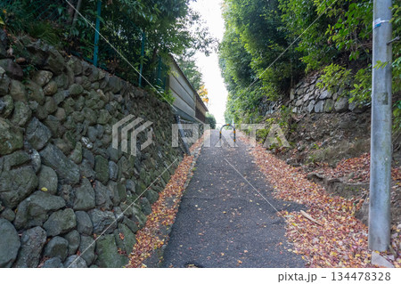 京都一周トレイルとその周辺の景色 134478328