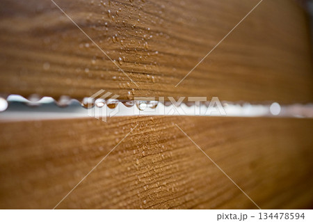 rain rain 134478594