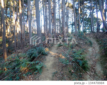 越生ハイキングコースと越生10名山 越生ハイキングコースと越生10名山 134478984