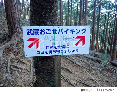越生ハイキングコースと越生10名山 越生ハイキングコースと越生10名山 134479207