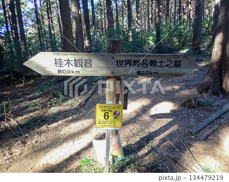 越生ハイキングコースと越生10名山 越生ハイキングコースと越生10名山 134479219
