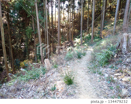 越生ハイキングコースと越生10名山 越生ハイキングコースと越生10名山 134479232
