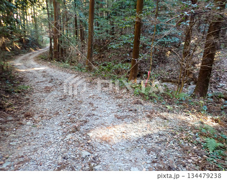 越生ハイキングコースと越生10名山 越生ハイキングコースと越生10名山 134479238