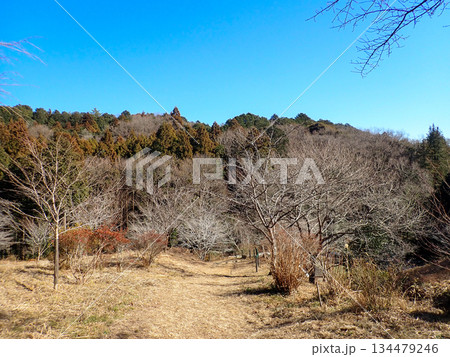 越生ハイキングコースと越生10名山 134479246