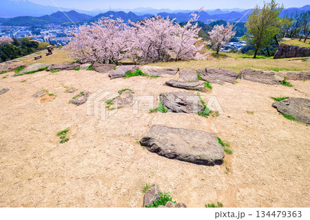 〈鳥取県〉米子城跡　城山頂上の礎石の遺構　4月 134479363