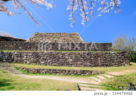 〈鳥取県〉米子城跡と桜　大天守の石垣　4月 134479488