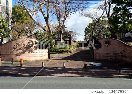 大森貝塚遺跡庭園 134479594