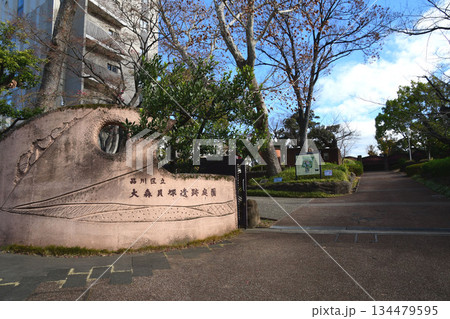 大森貝塚遺跡庭園 134479595