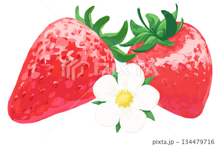 手描きの苺イラスト_2つと花 134479716