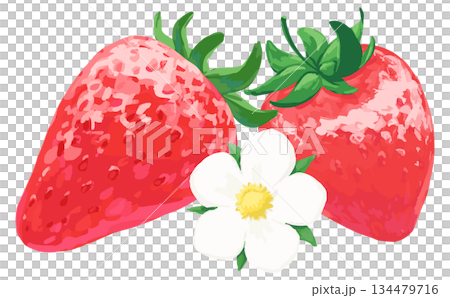 手描きの苺イラスト_2つと花 134479716