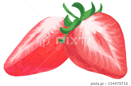 手描きの苺イラスト_2つ断面 134479718