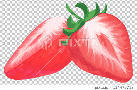 手描きの苺イラスト_2つ断面 134479718