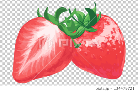 Hand-drawn strawberry illustrations_cross section and whole 134479721