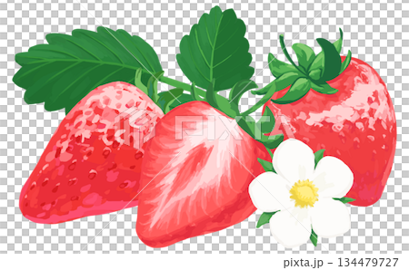 手描きの苺イラスト_花と葉っぱあり 手描きの苺イラスト_花と葉っぱあり 134479727