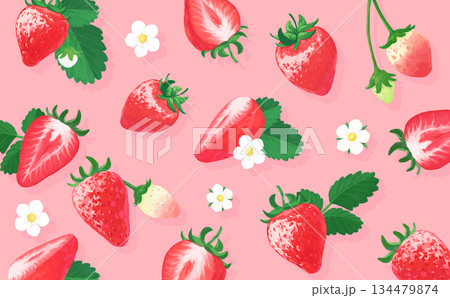 手描きの苺ボタニカルイラスト横長背景_ピンク背景 134479874