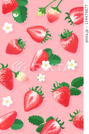 手描きの苺ボタニカルイラスト縦長背景_ピンク背景 134479877