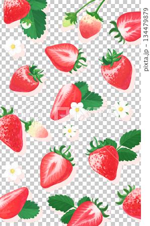 手描きの苺ボタニカルイラスト縦長背景 134479879